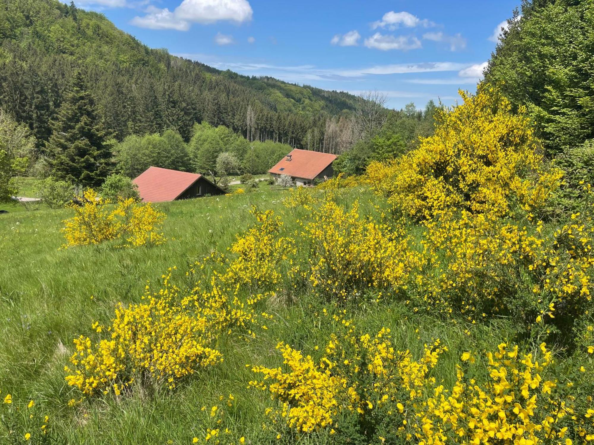 La Hutte Villa Tendon Eksteriør bilde